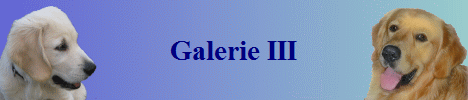 Galerie III