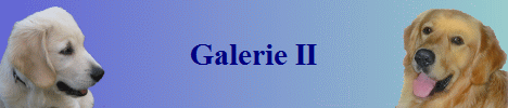 Galerie II